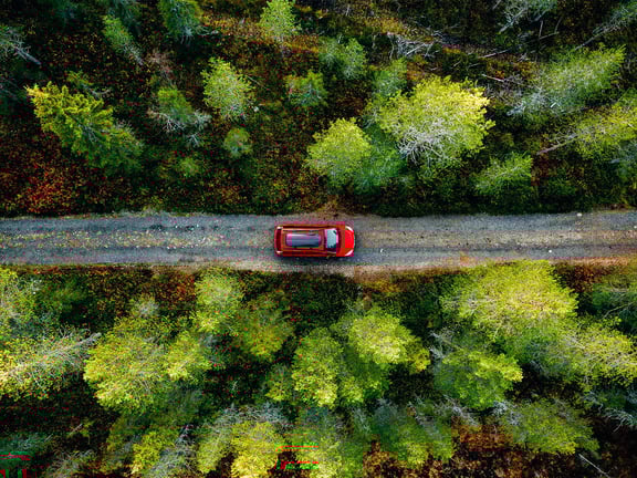 Auto_fährt_durch_Wald